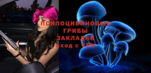 альфа пвп Горно-Алтайск