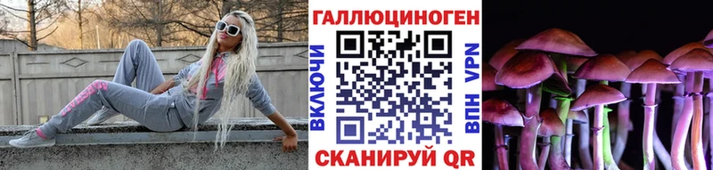 наркотики Магас ссылка на мегу онион Галлюциногенные грибы прущие грибы